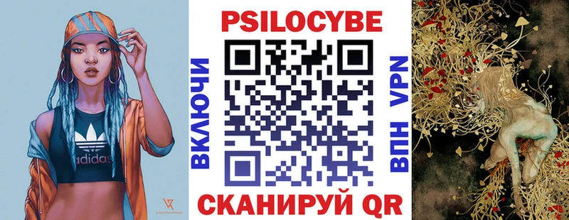 где можно купить   Ржев  Псилоцибиновые грибы мицелий 