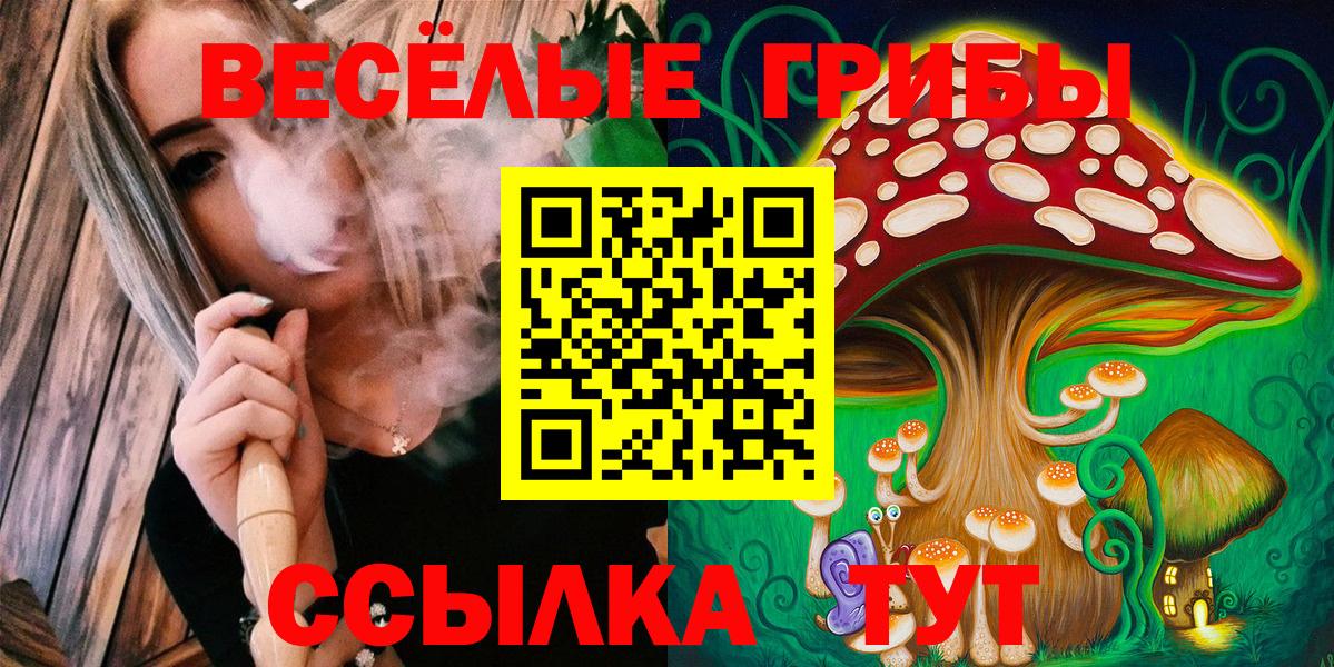 Псилоцибиновые грибы Magic Shrooms Ржев