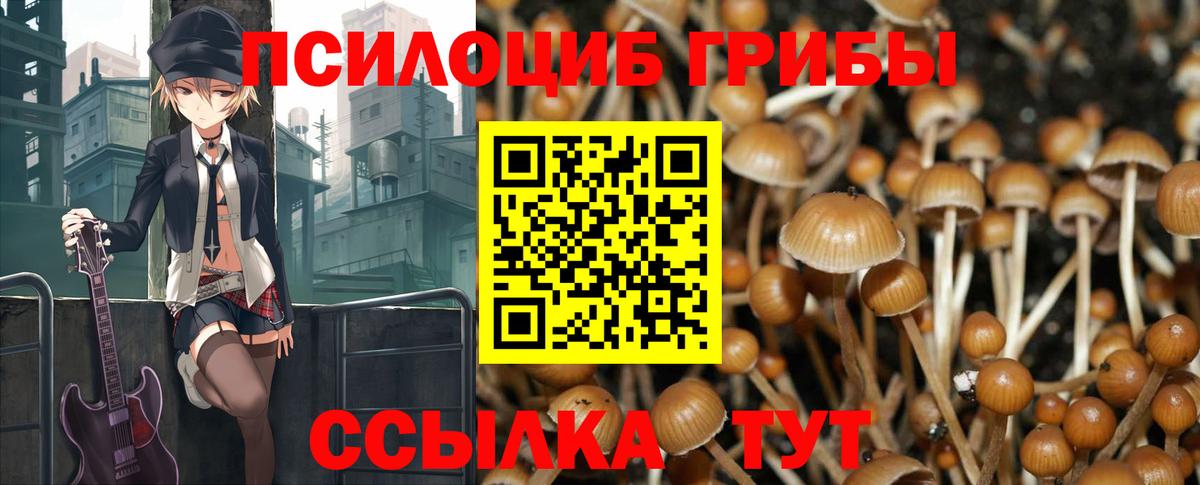 Ржев  Галлюциногенные грибы GOLDEN TEACHER  Вход с VPN 