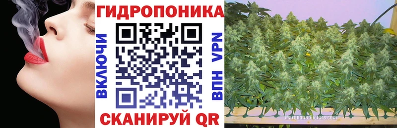Марихуана SATIVA & INDICA  где купить наркотик  Ржев 